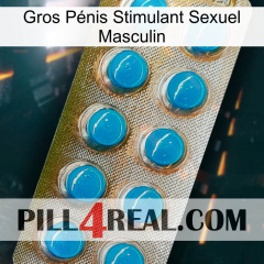 Gros Pénis Stimulant Sexuel Masculin new09